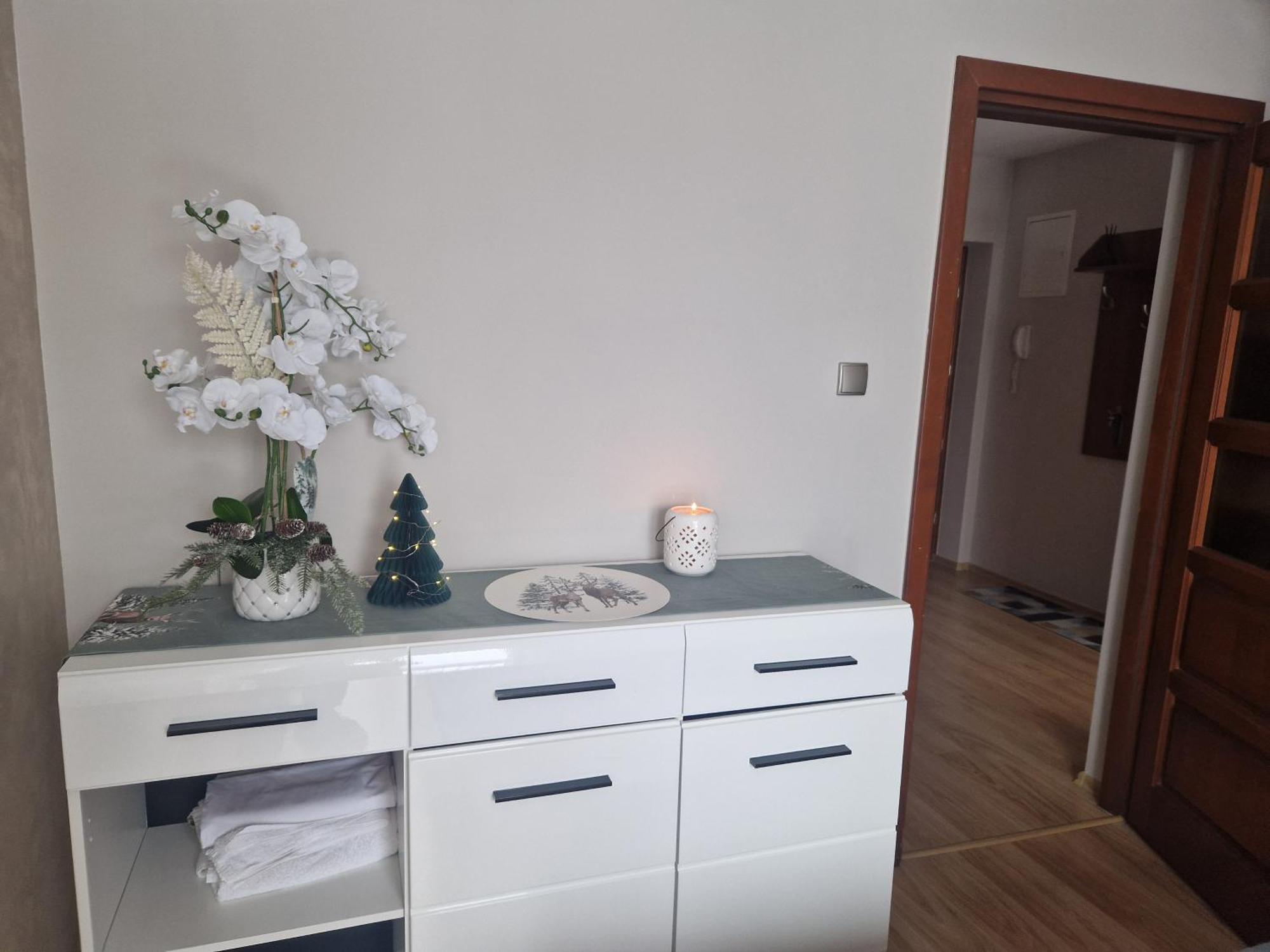 Apartament Kasprowy Kościelisko Extérieur photo