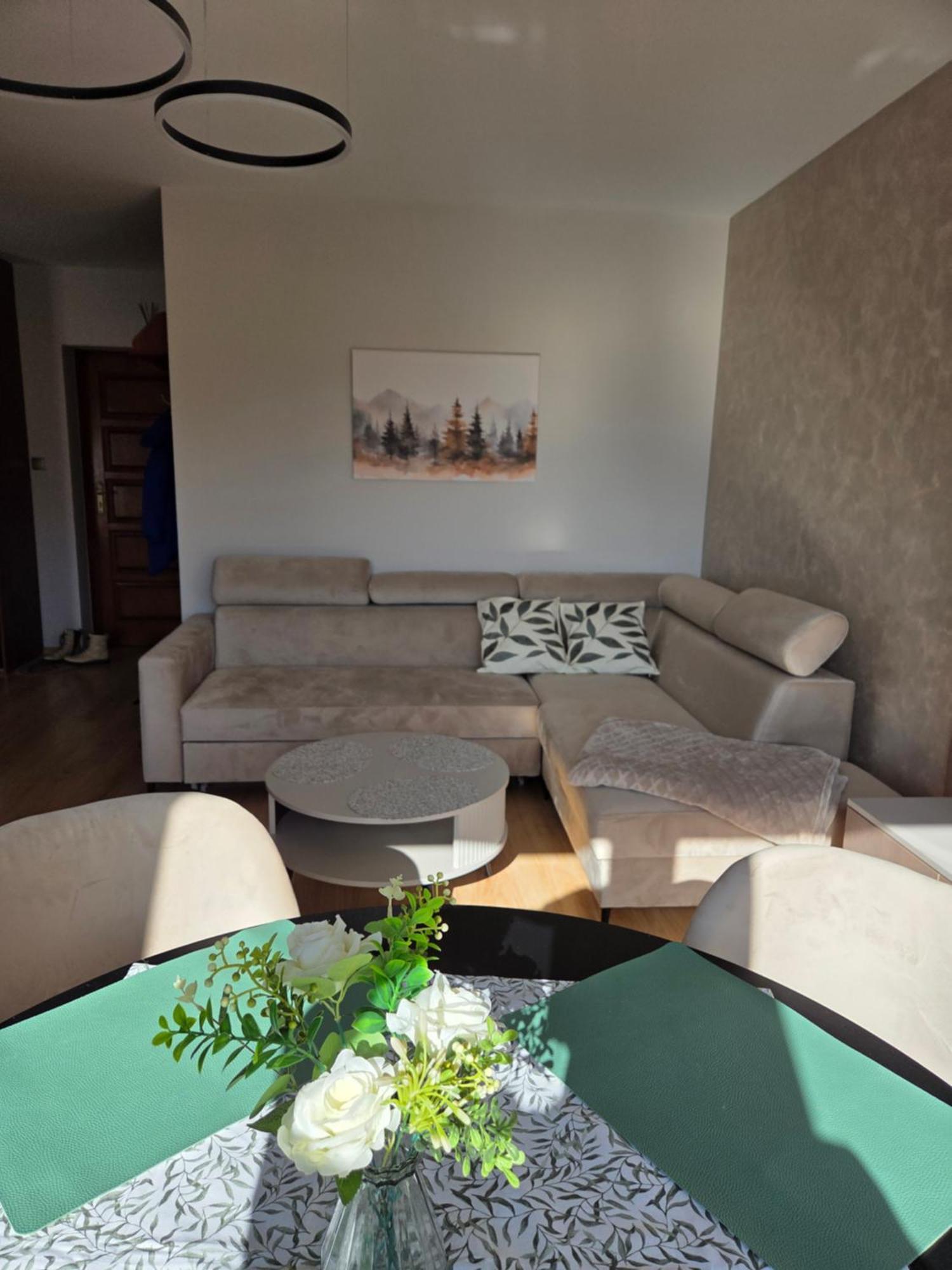 Apartament Kasprowy Kościelisko Extérieur photo